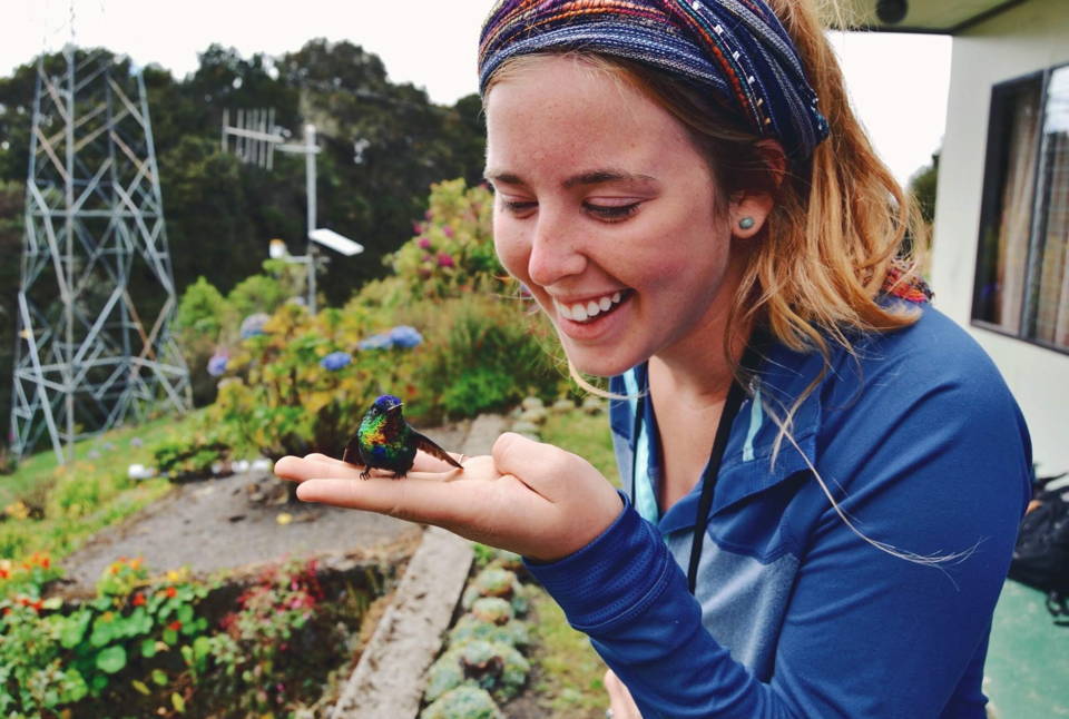 What To Know About Attracting Hummingbirds To Your Garden